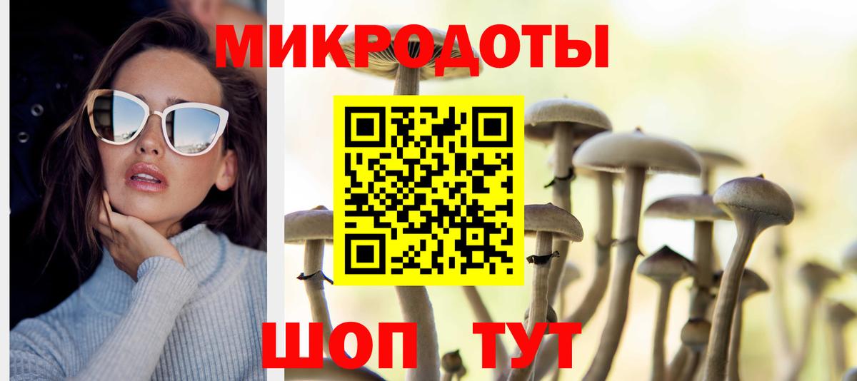 Камень-на-Оби  Галлюциногенные грибы ЛСД  Вход с VPN 